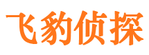 市中区飞豹私家侦探公司